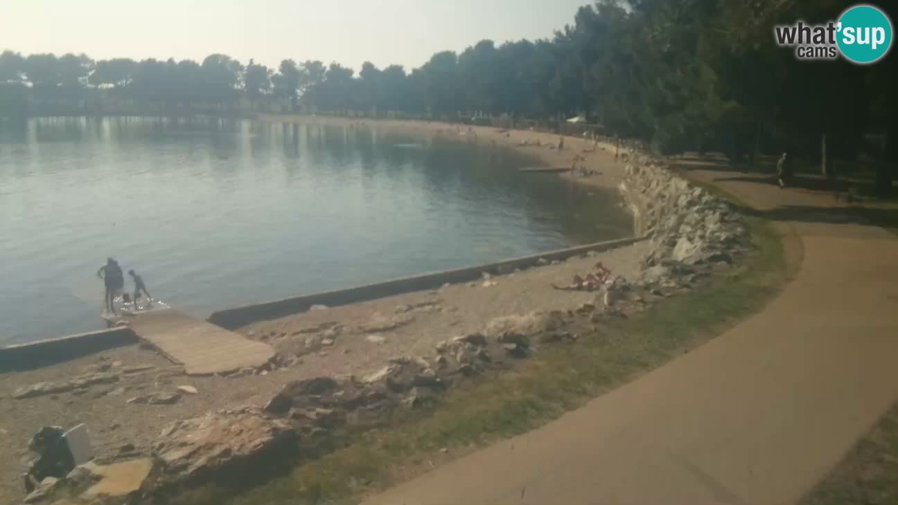 Novigrad – Strand Karpinjan webcam