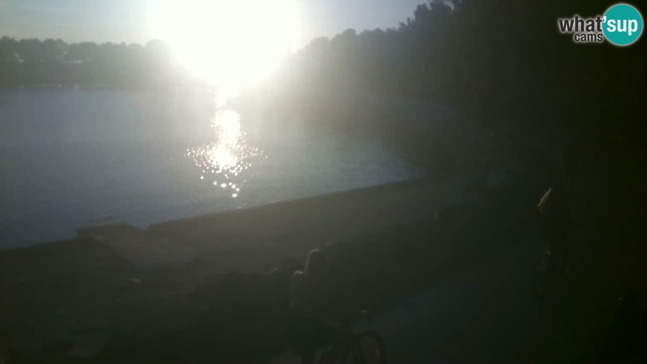Novigrad – Strand Karpinjan webcam