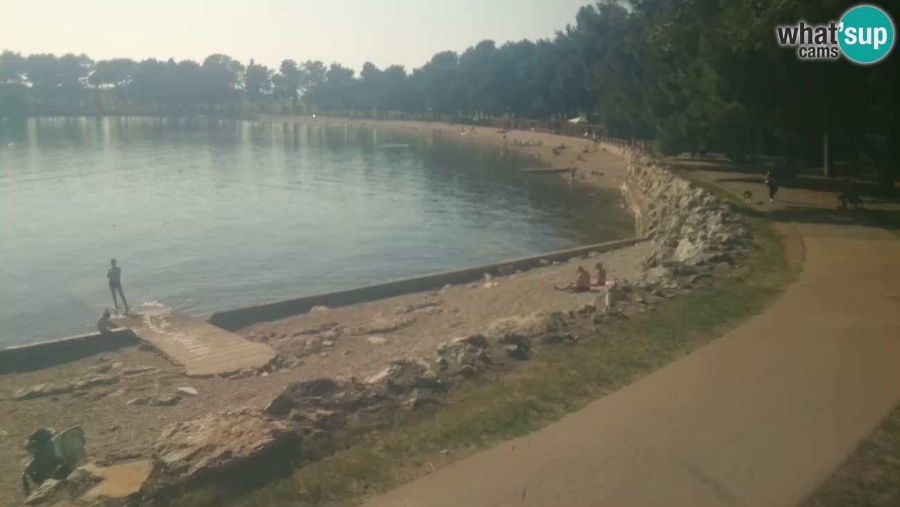 Novigrad – Strand Karpinjan webcam