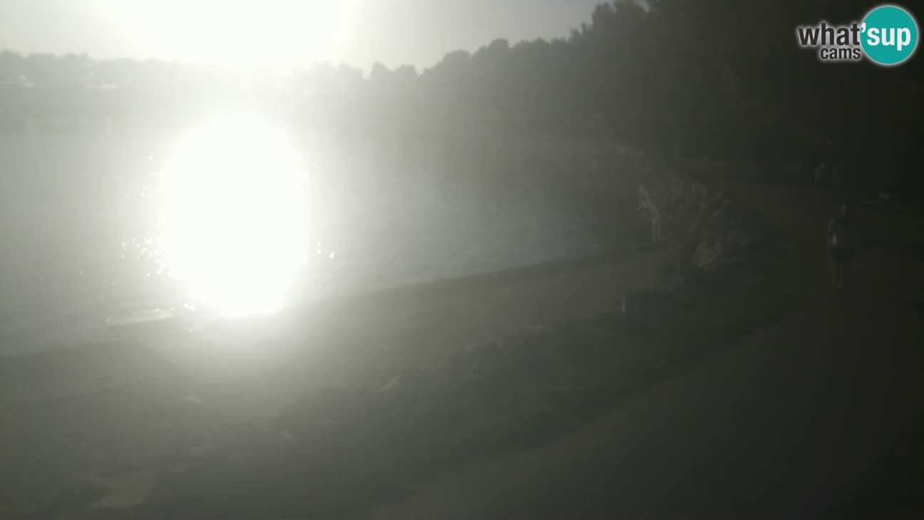 Novigrad – Strand Karpinjan webcam