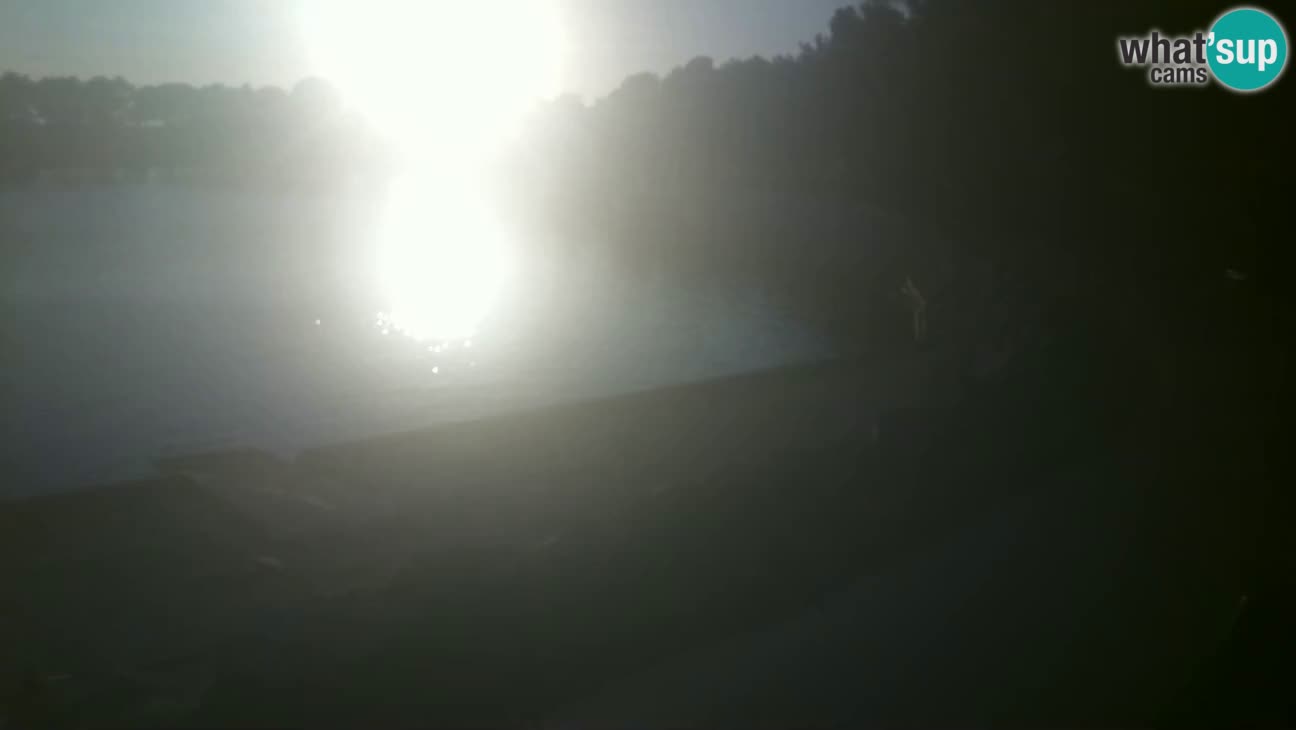 Novigrad – Strand Karpinjan webcam
