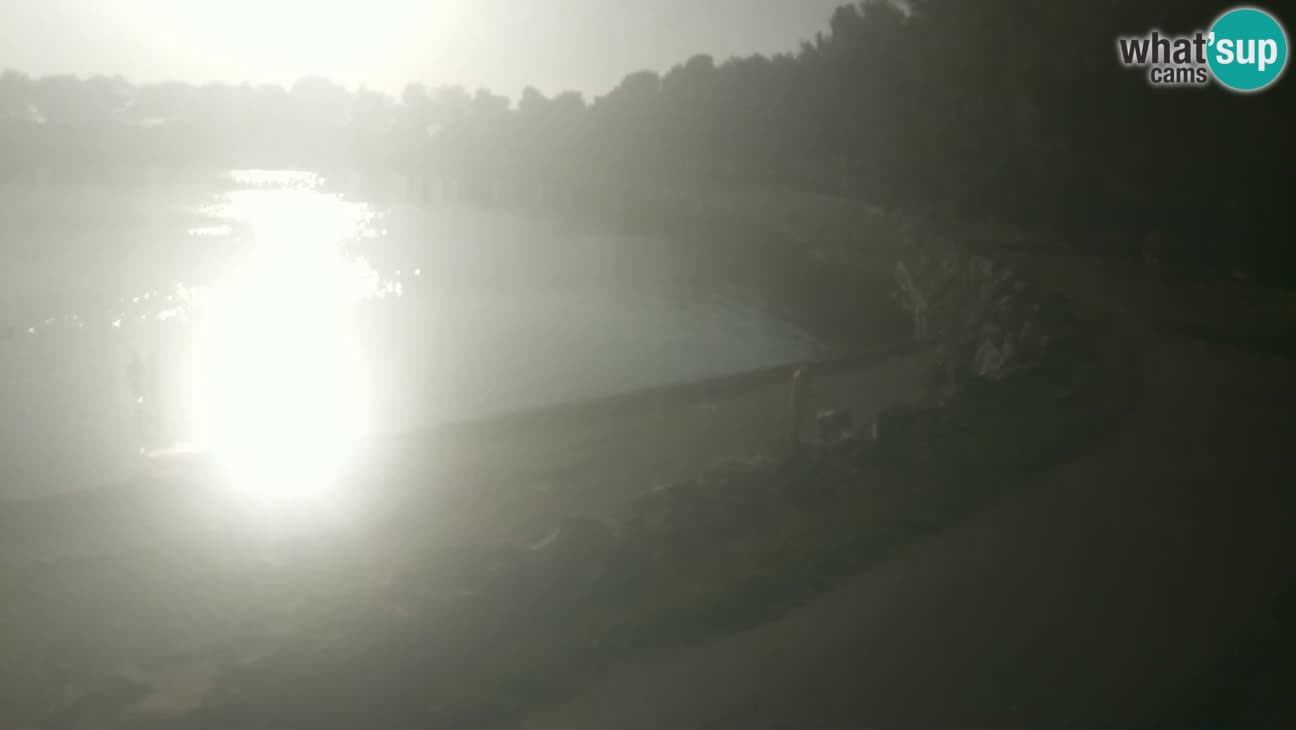 Novigrad live cam – Karpinjan beach