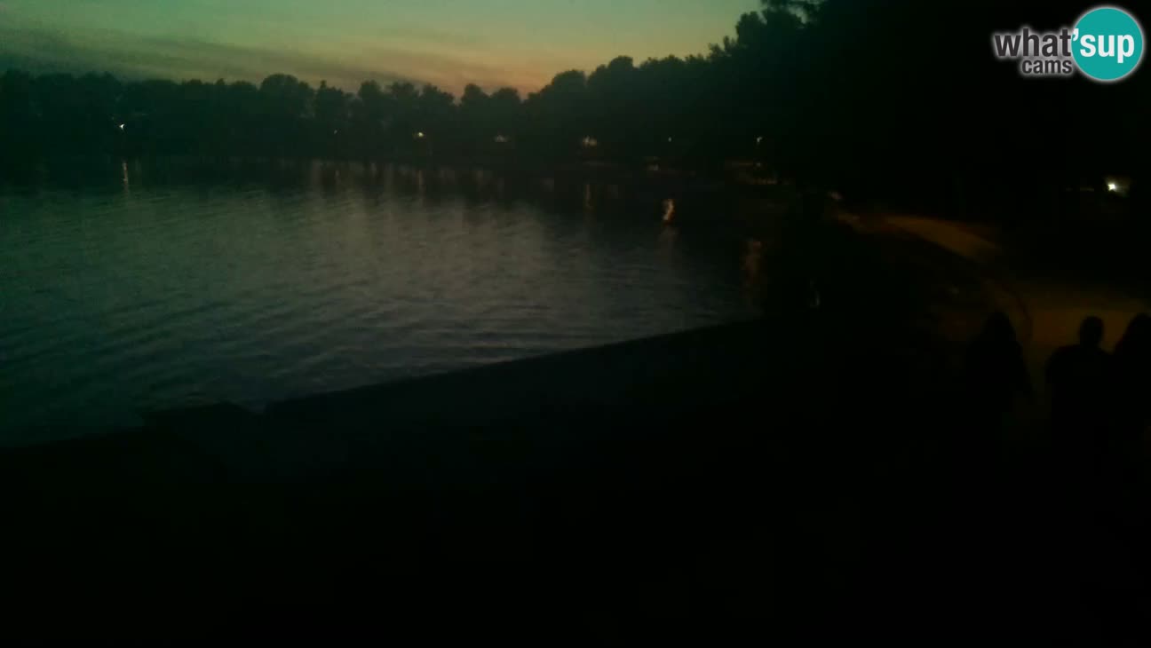 Novigrad – Plaža Karpinjan
