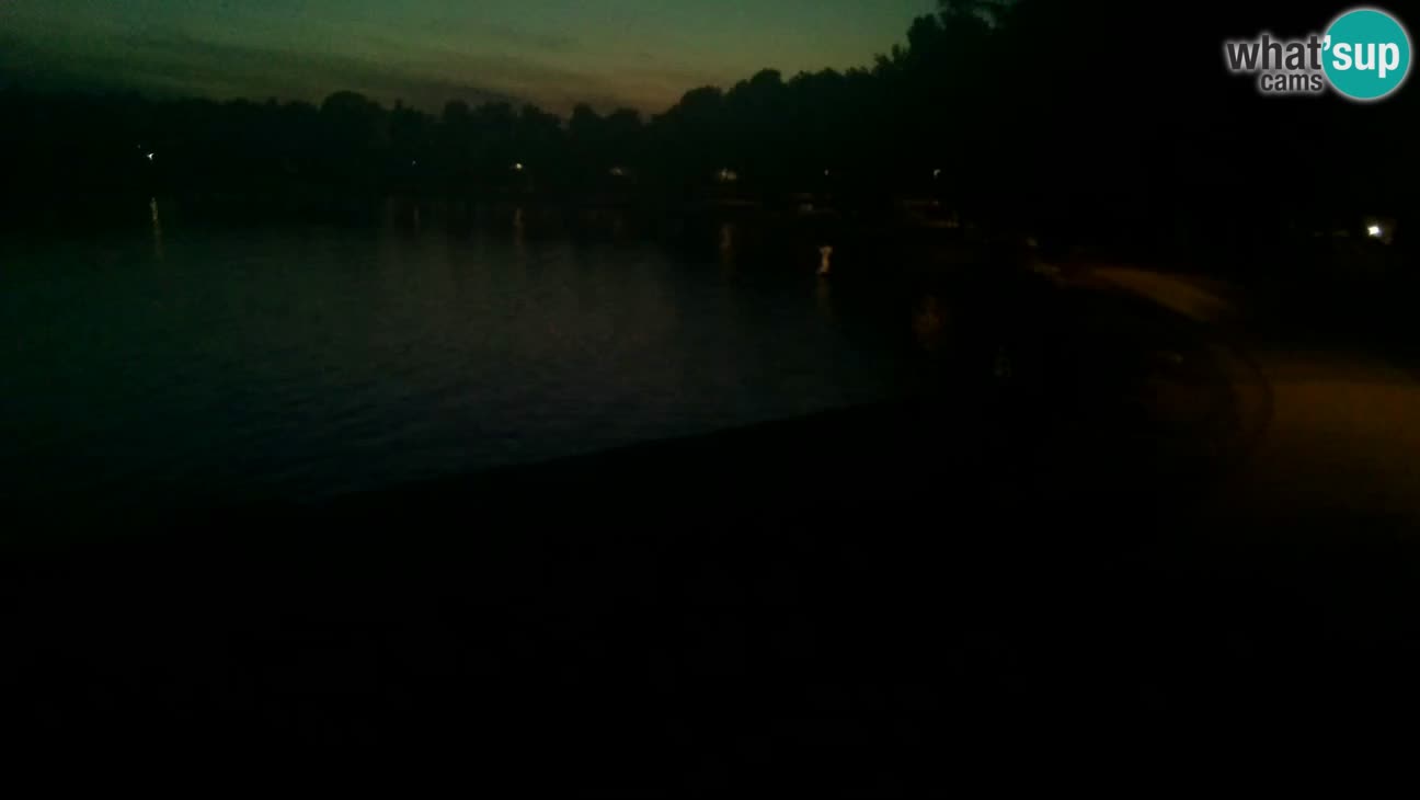 Novigrad – Strand Karpinjan webcam