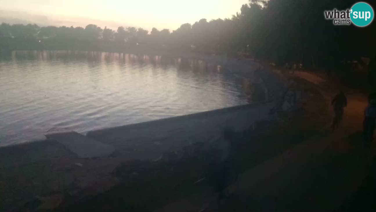 Novigrad – Plage Karpinjan
