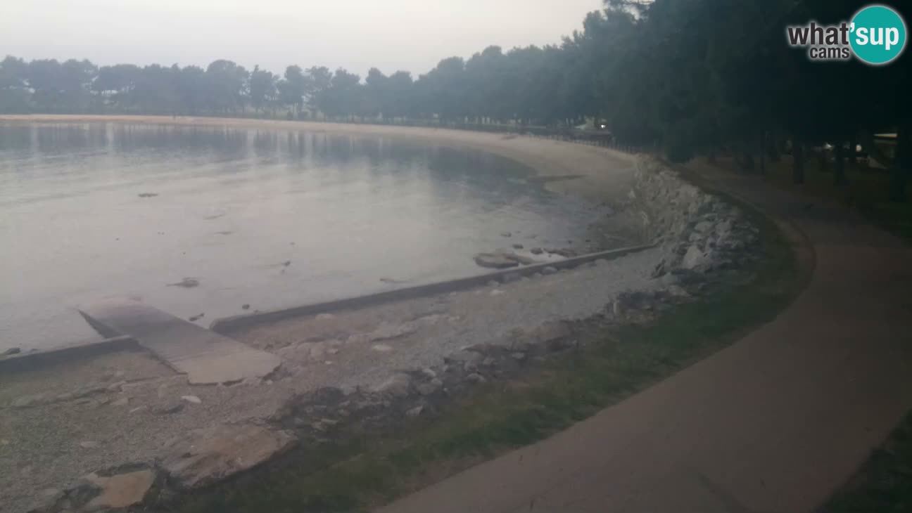 Novigrad – Plage Karpinjan