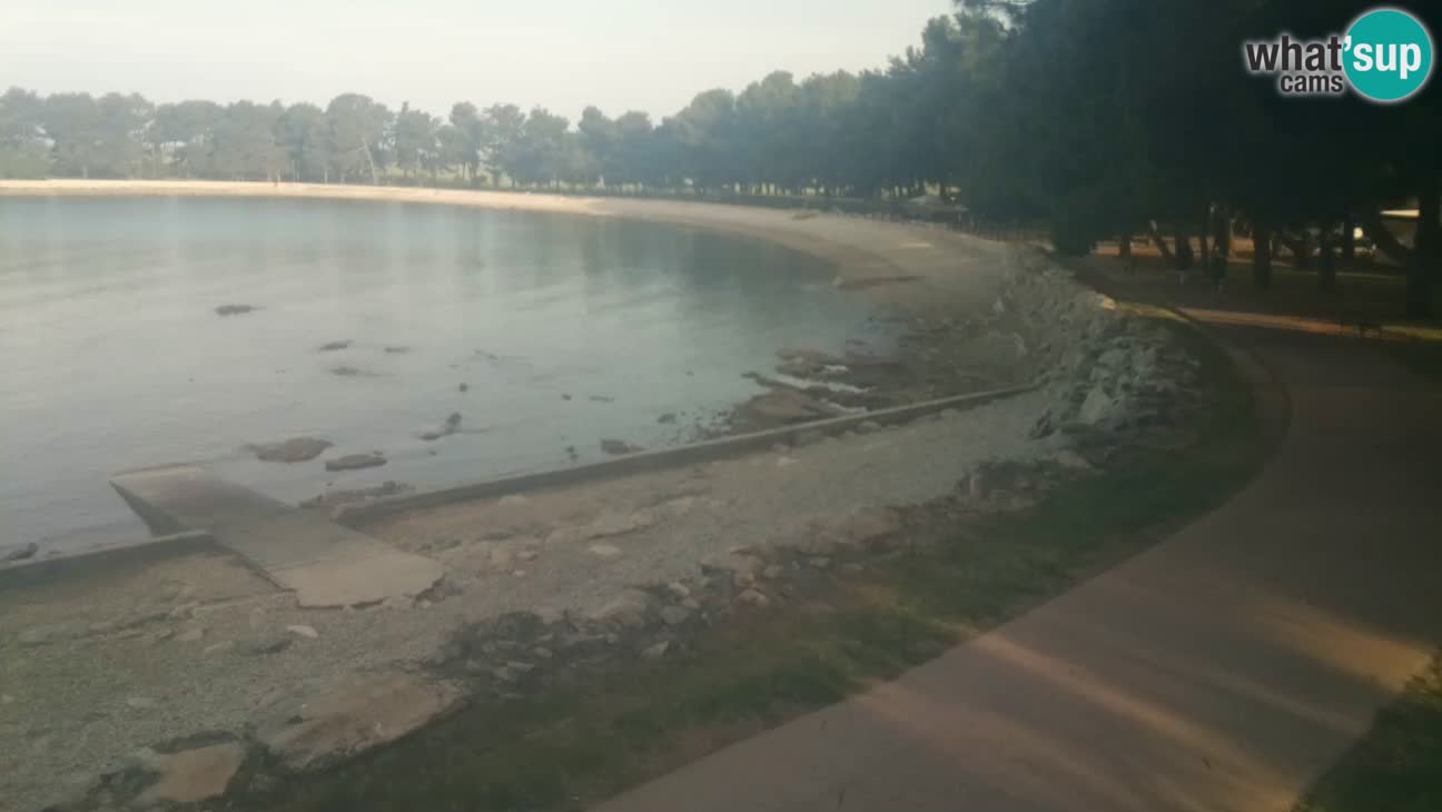 Novigrad live cam – Karpinjan beach