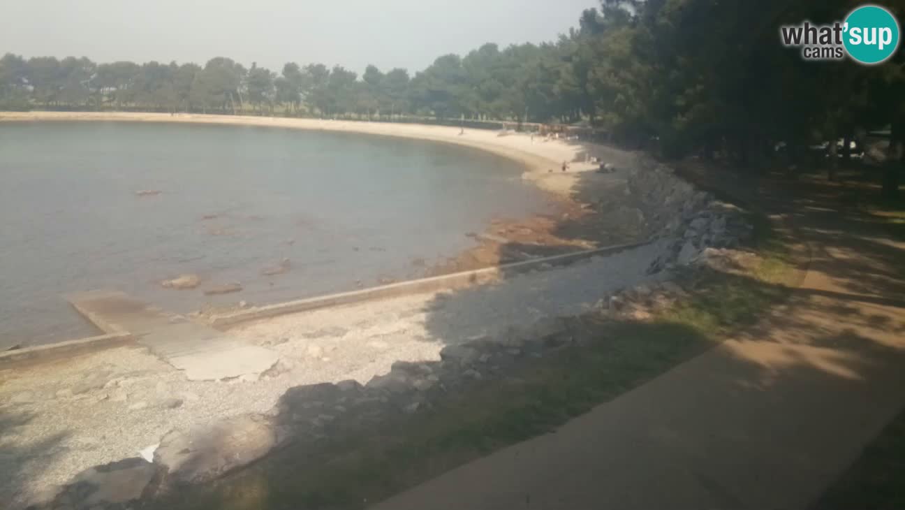Novigrad – Plaža Karpinjan
