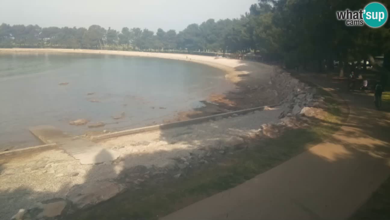 Novigrad live cam – Karpinjan beach
