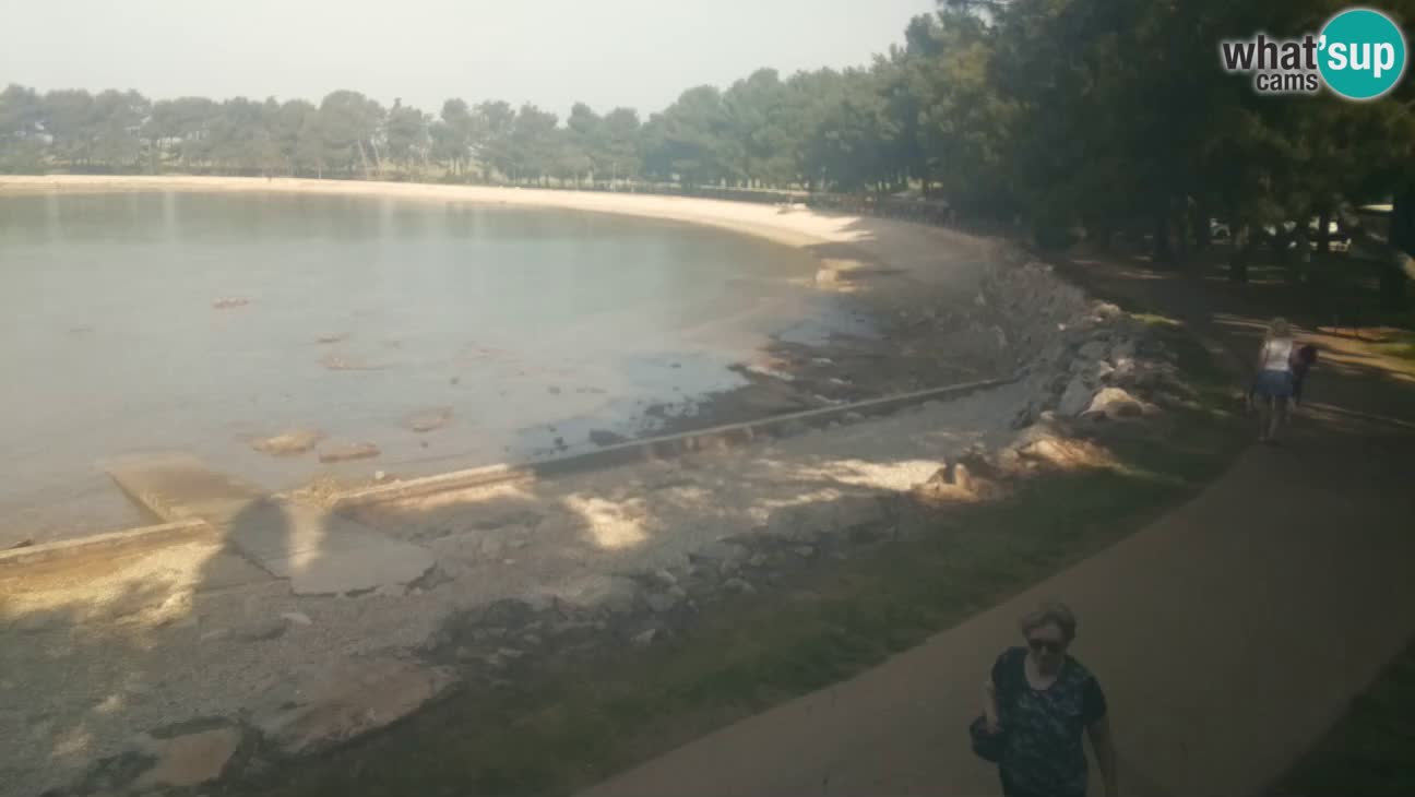 Novigrad – Strand Karpinjan webcam