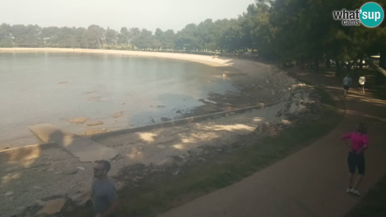 Novigrad live cam – Karpinjan beach