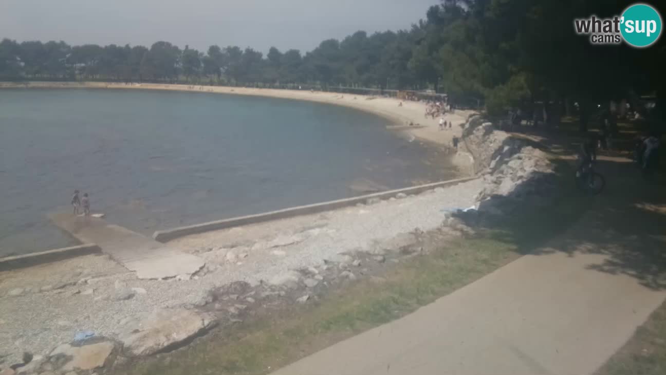 Novigrad live cam – Karpinjan beach