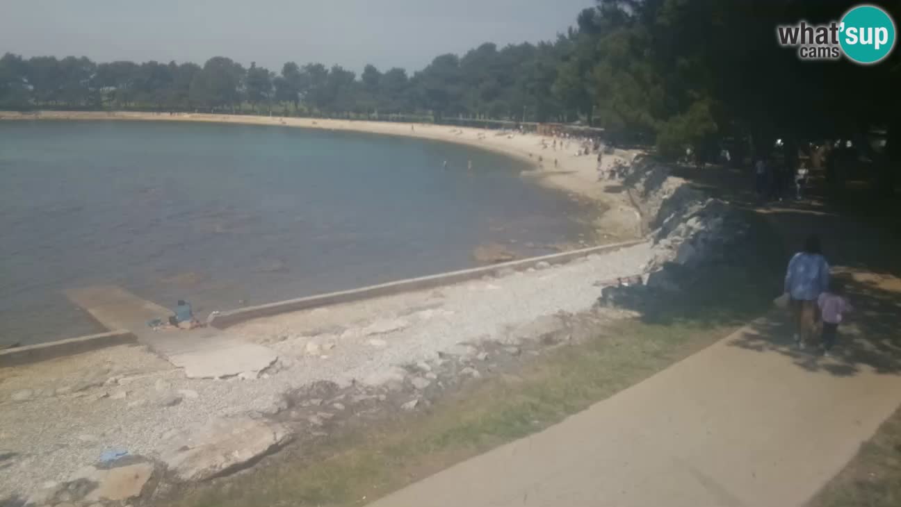 Novigrad – Playa Karpinjan
