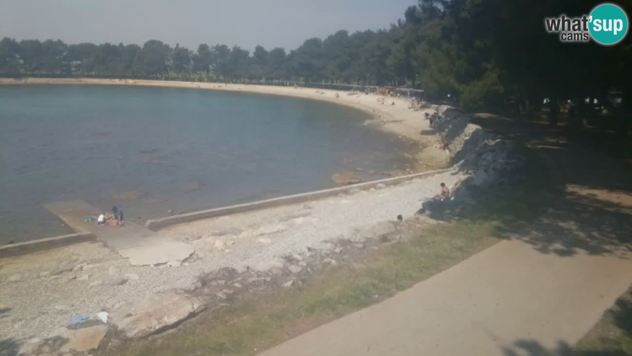 Novigrad live cam – Karpinjan beach