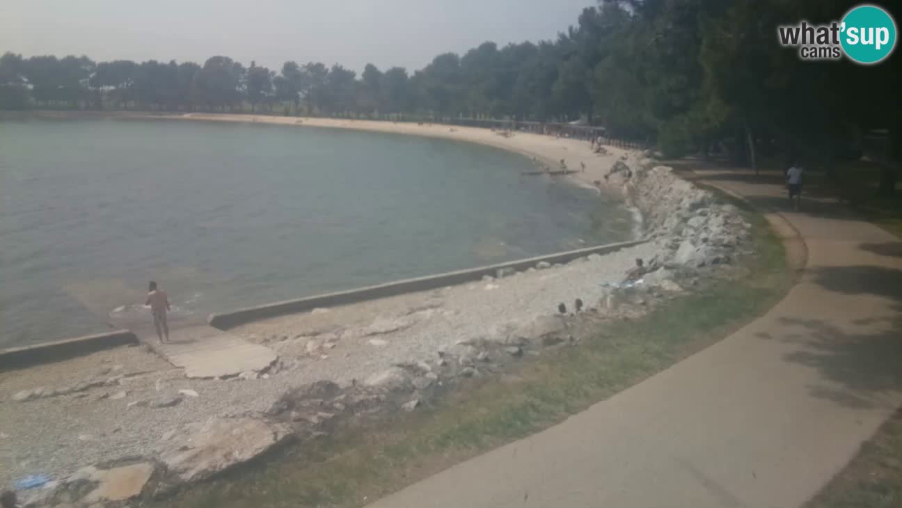 Novigrad – Playa Karpinjan