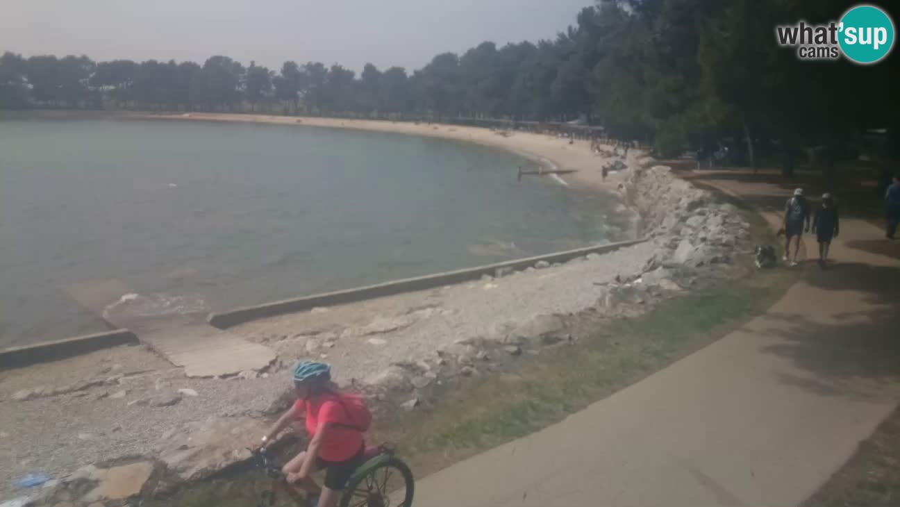 Novigrad – Plaža Karpinjan