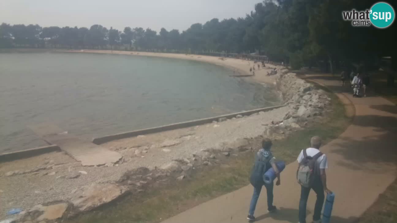Novigrad – Plage Karpinjan
