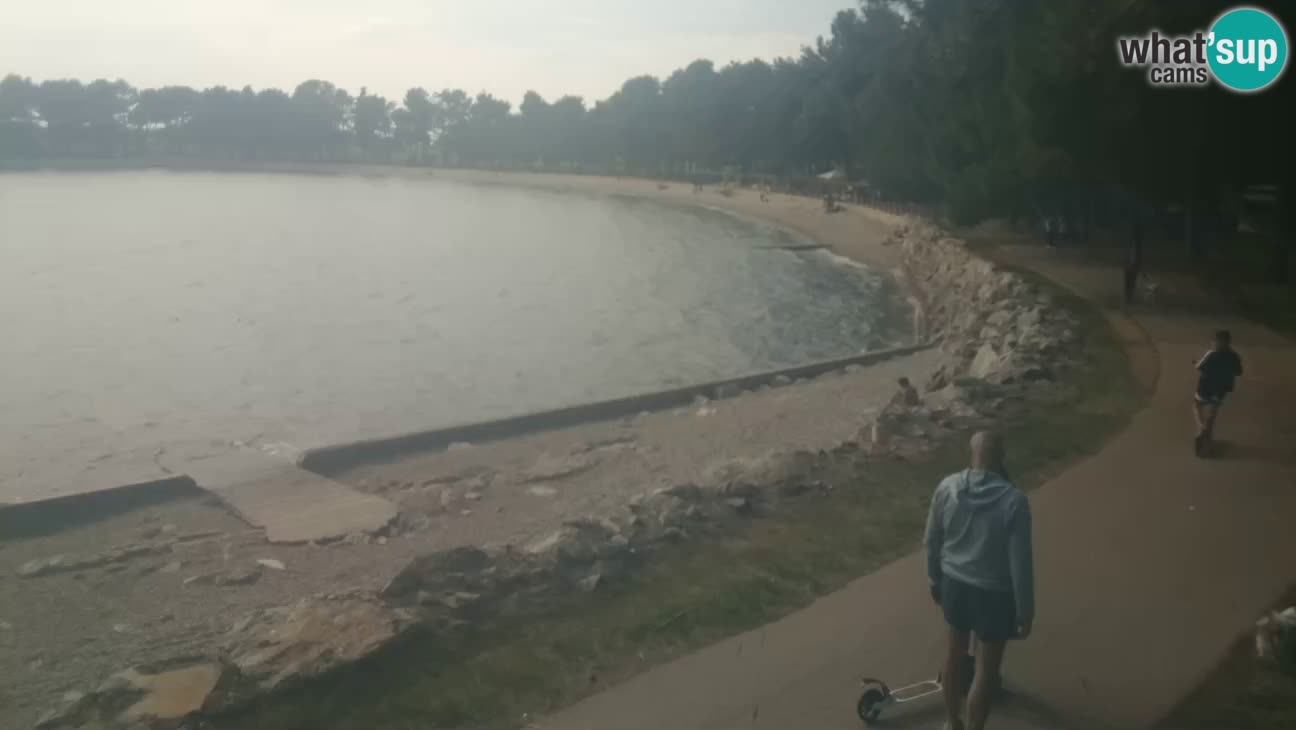 Novigrad live cam – Karpinjan beach