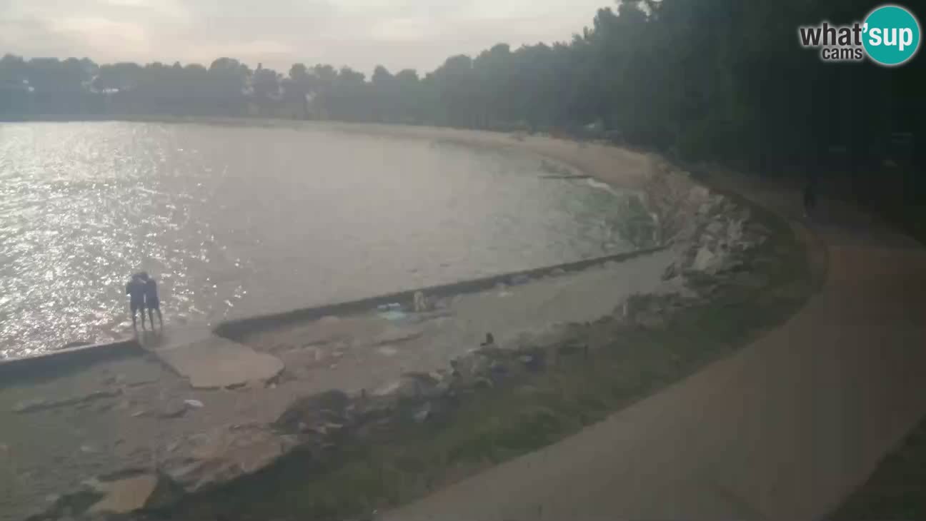 Novigrad – Plage Karpinjan