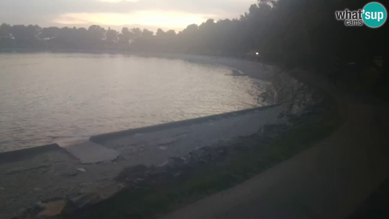 Novigrad – Strand Karpinjan webcam