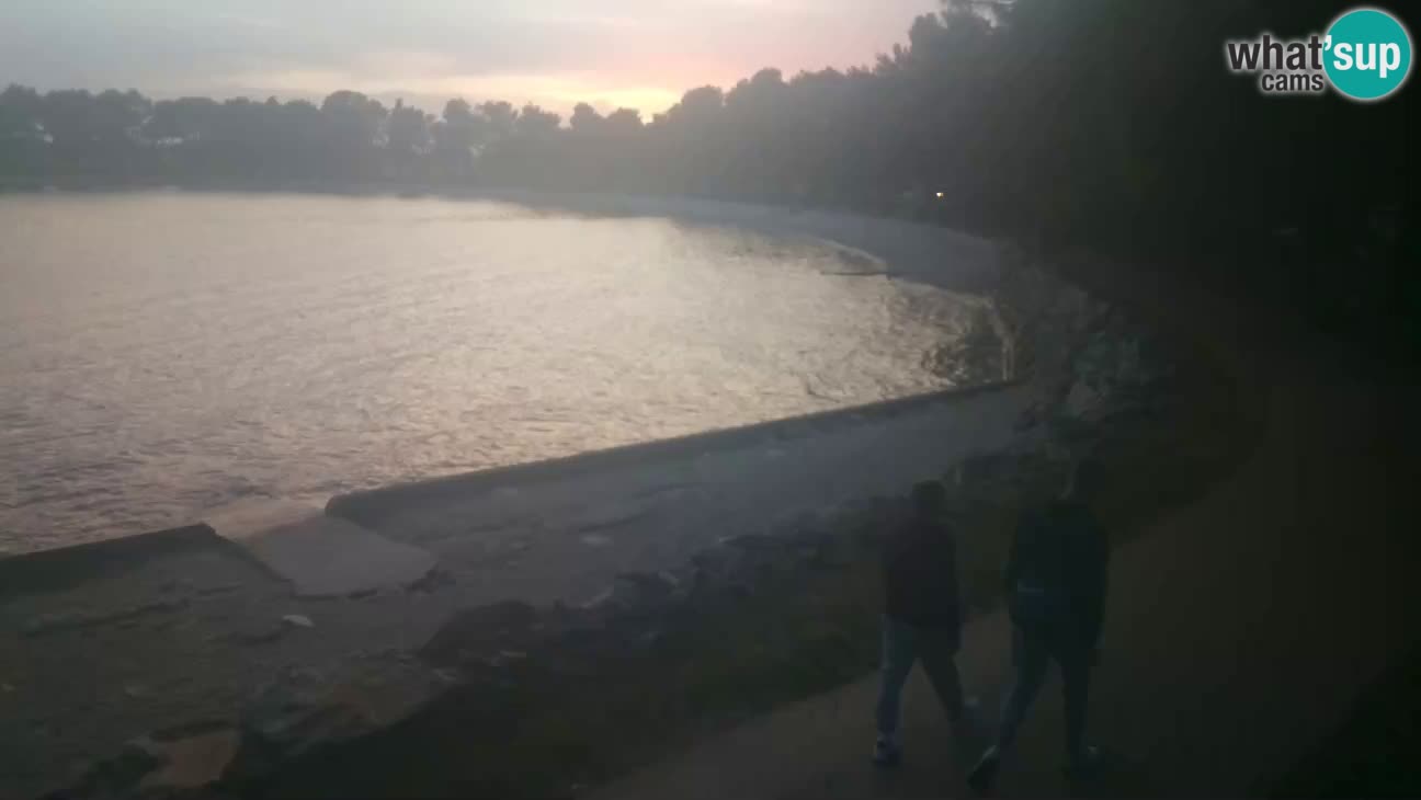Novigrad – Playa Karpinjan