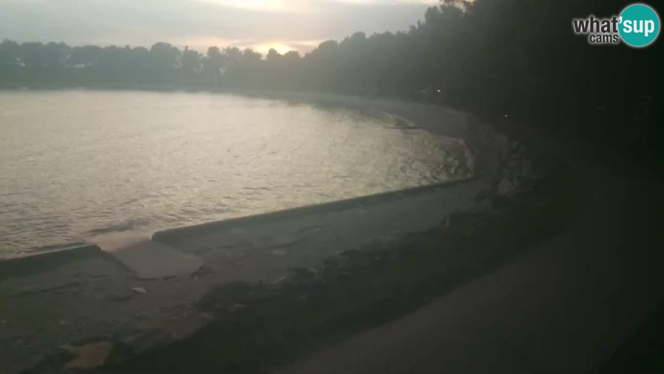 Novigrad – Strand Karpinjan webcam