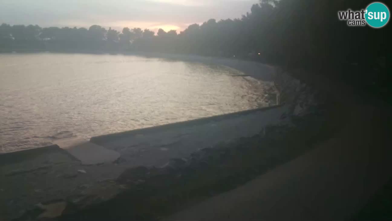 Novigrad – Plaža Karpinjan