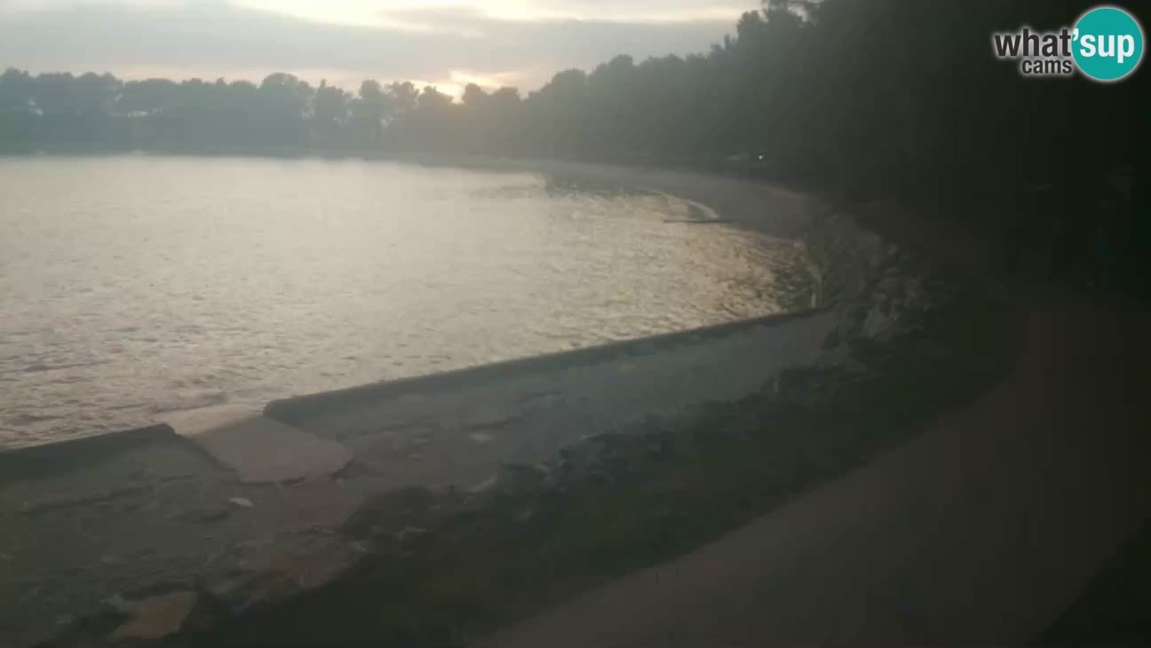 Novigrad – Plaža Karpinjan