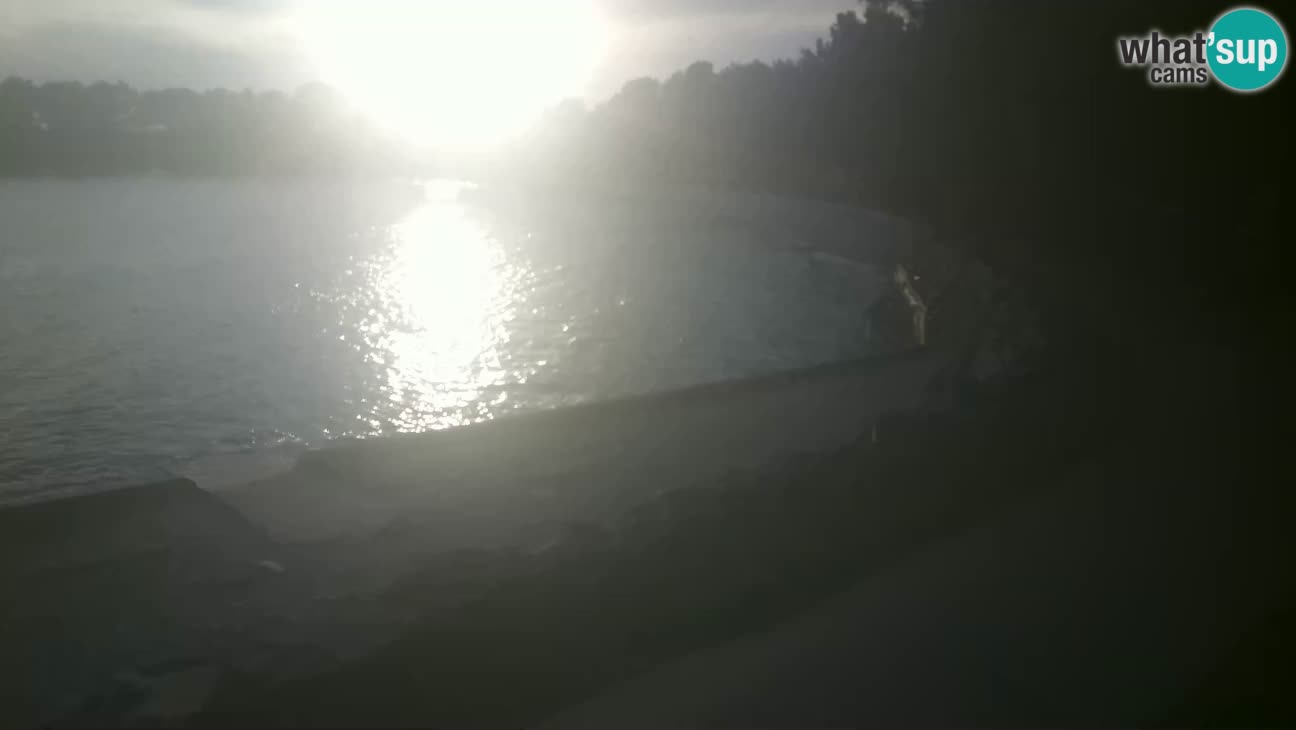 Novigrad live cam – Karpinjan beach