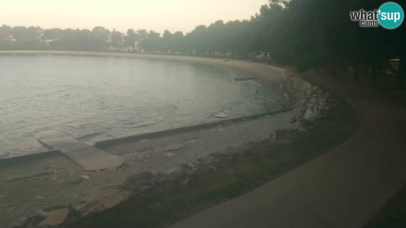 Novigrad – Plaža Karpinjan