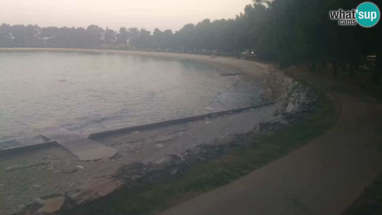 Novigrad – Strand Karpinjan webcam