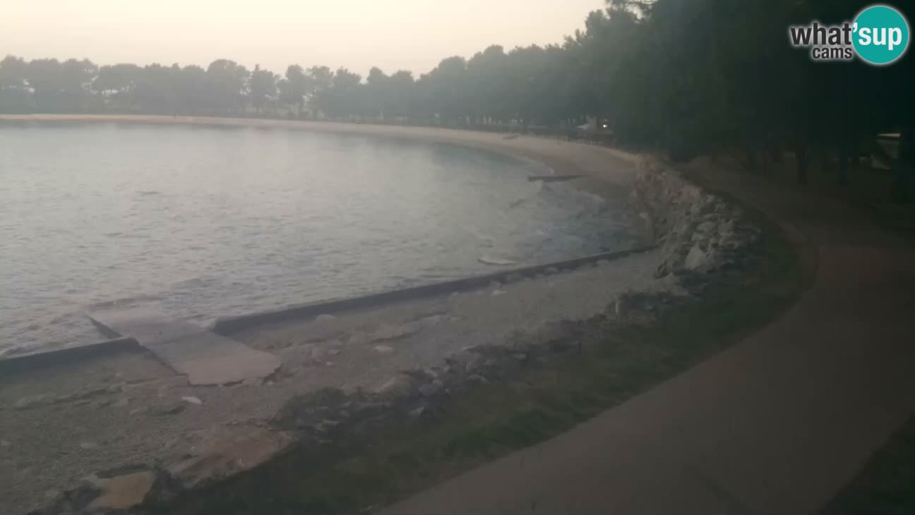 Novigrad – Playa Karpinjan