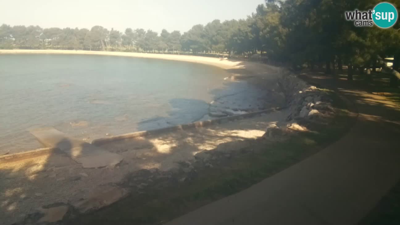 Novigrad – Plage Karpinjan