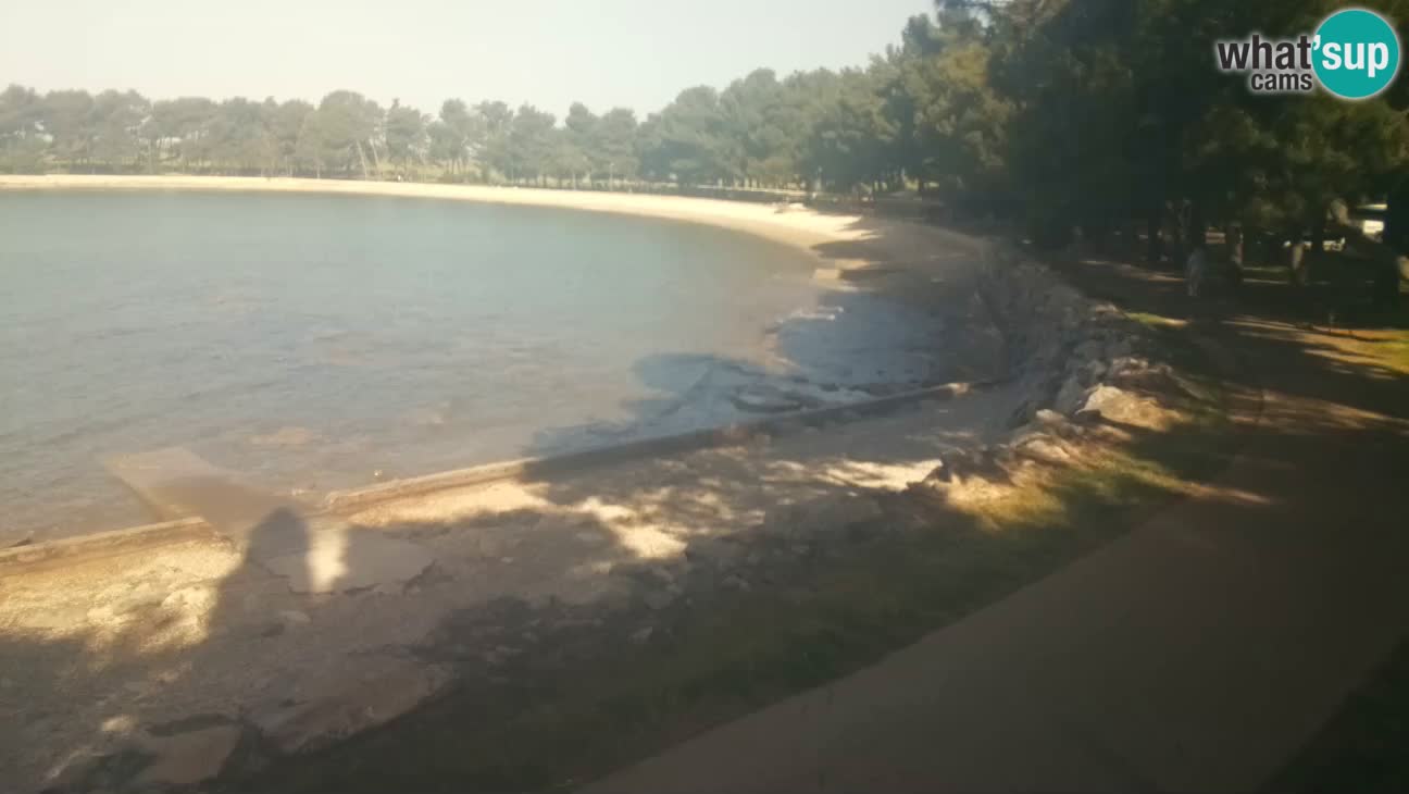 Novigrad live cam – Karpinjan beach