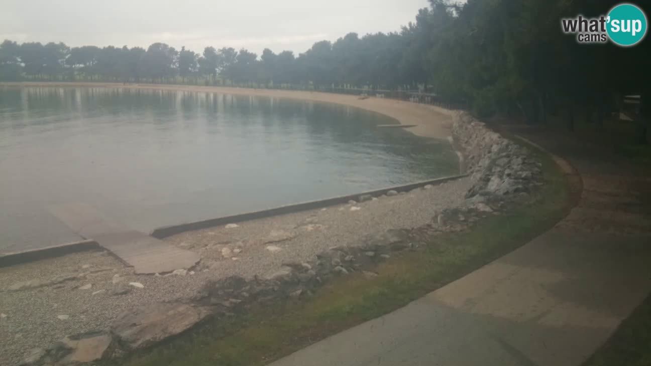 Novigrad live cam – Karpinjan beach