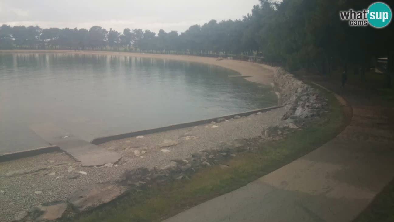 Novigrad – Plaža Karpinjan