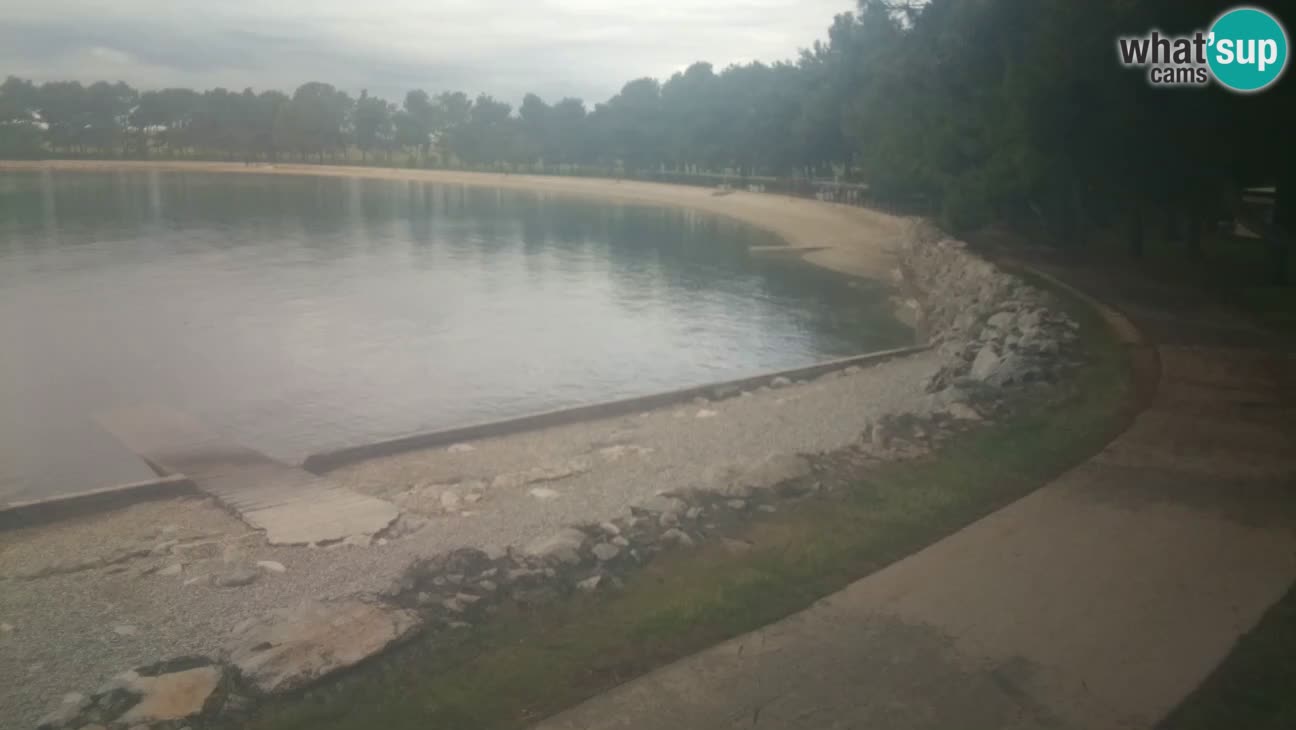 Novigrad – Strand Karpinjan webcam