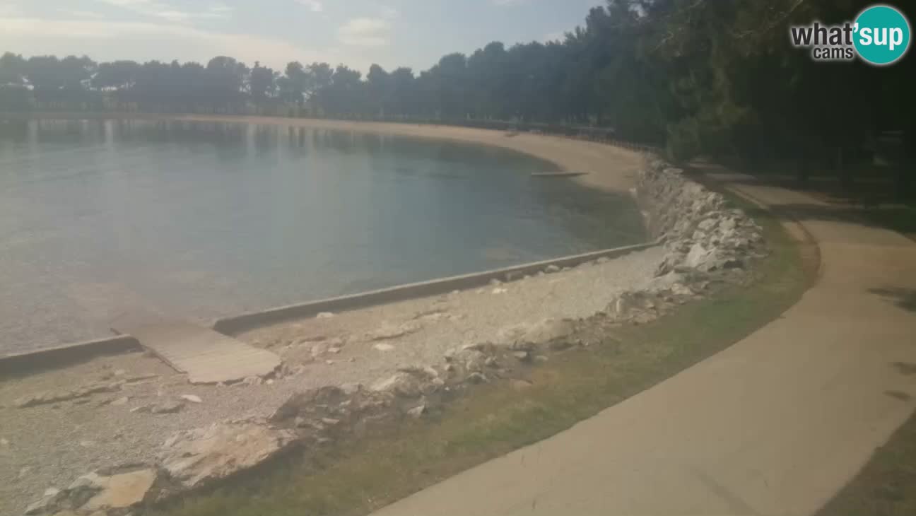 Novigrad – Strand Karpinjan webcam