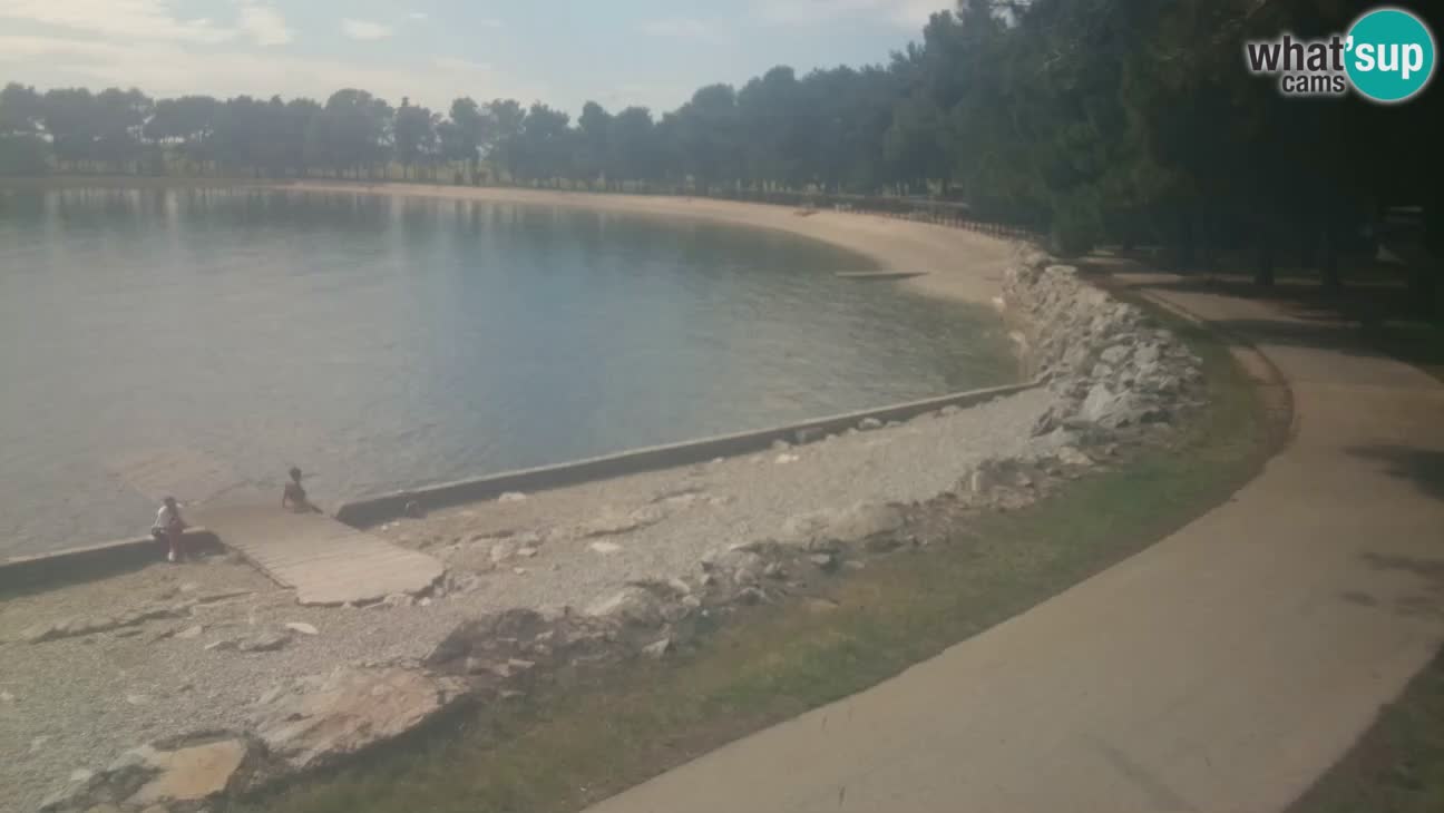 Novigrad live cam – Karpinjan beach