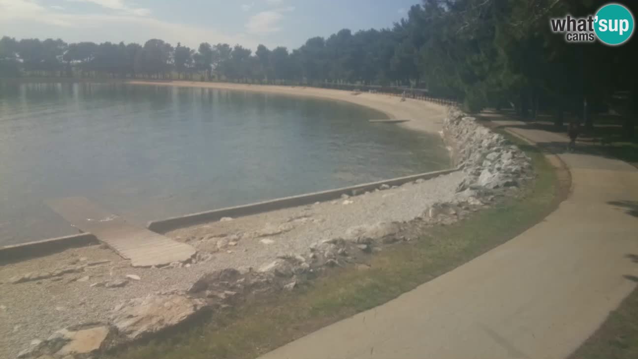 Novigrad – Plage Karpinjan