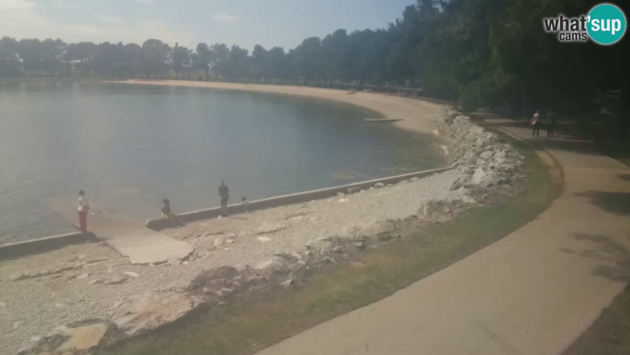 Novigrad – Strand Karpinjan webcam