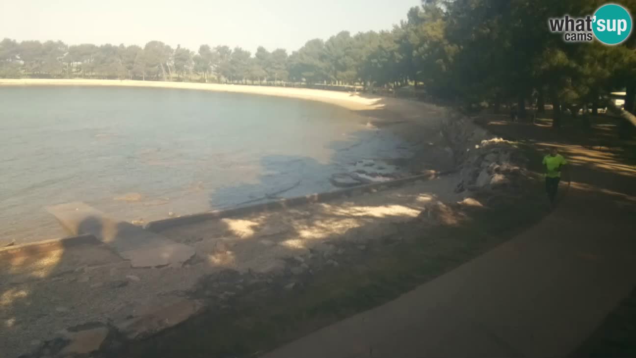Novigrad – Plaža Karpinjan
