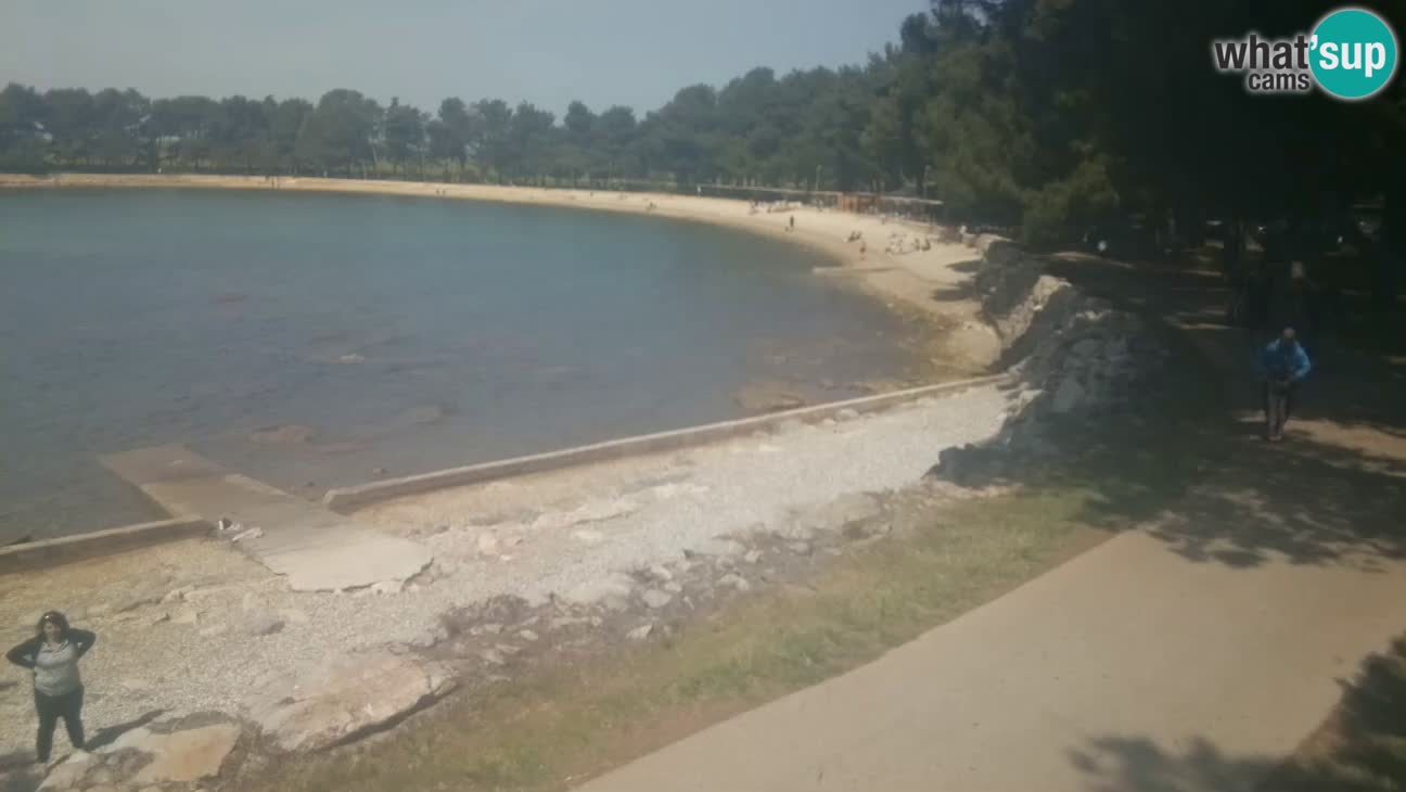 Novigrad – Playa Karpinjan