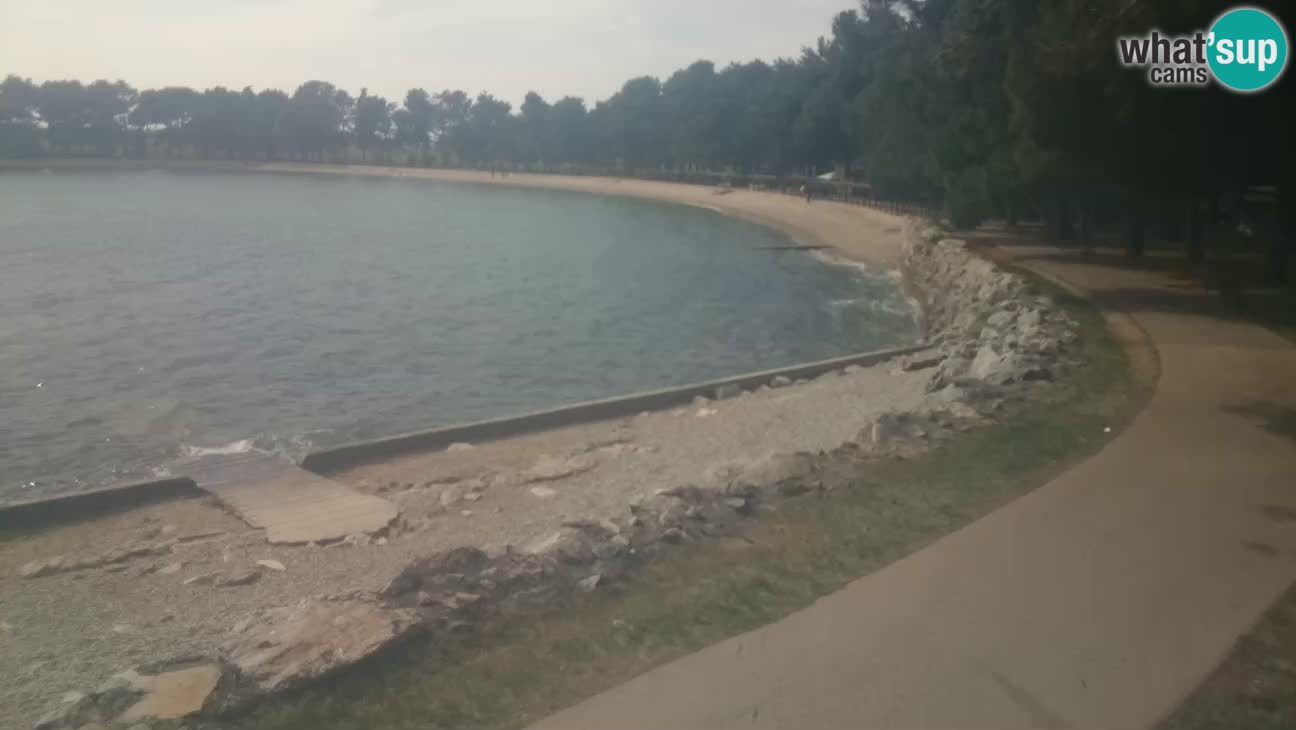 Novigrad live cam – Karpinjan beach