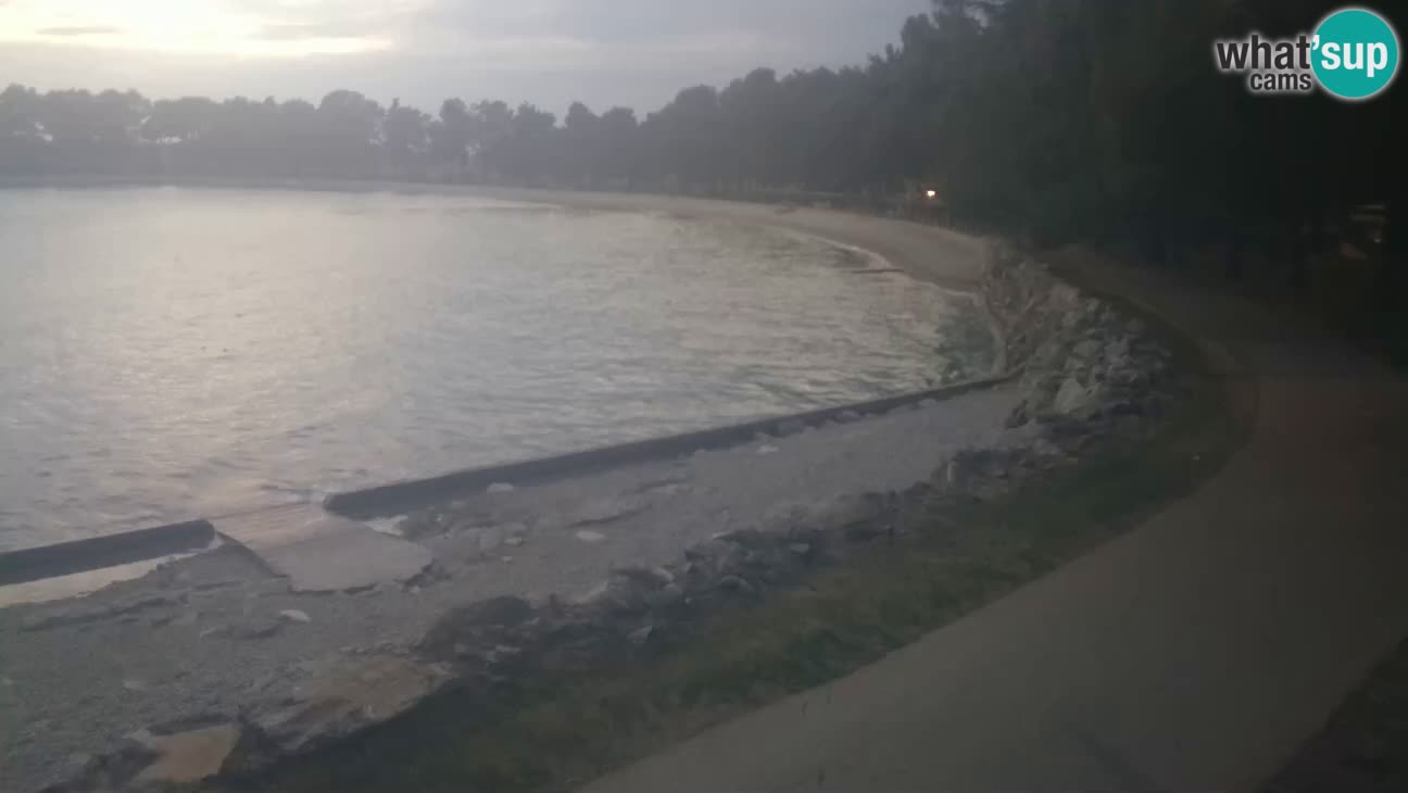 Novigrad – Plaža Karpinjan