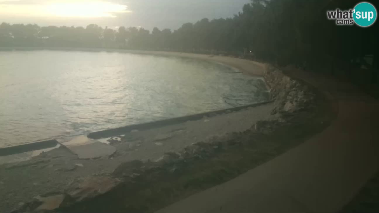Novigrad – Plaža Karpinjan