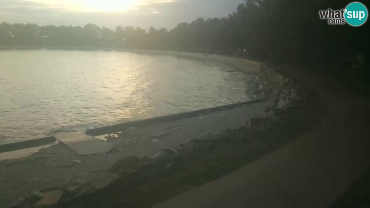 Cittanova – Spiaggia Karpinjan