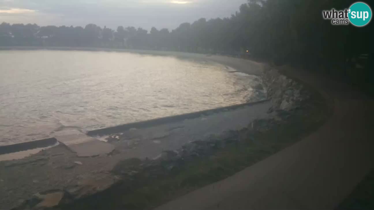 Novigrad – Strand Karpinjan webcam