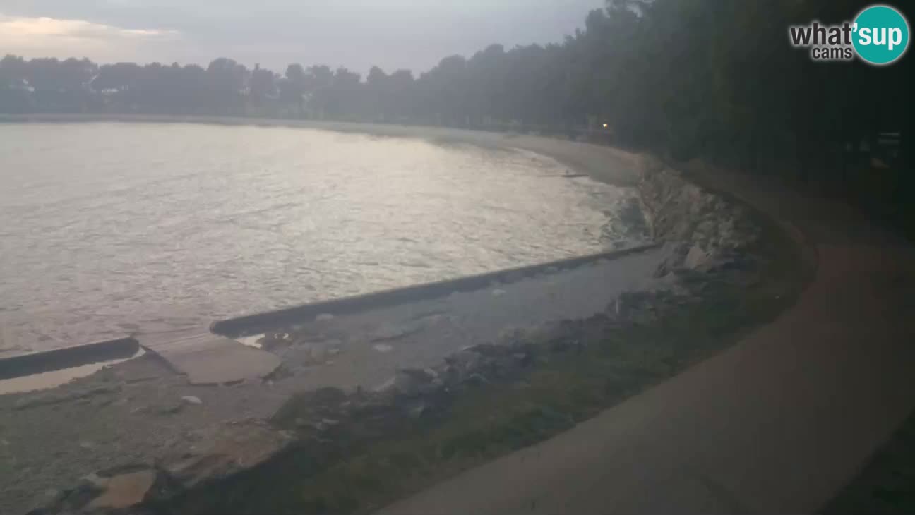 Novigrad – Playa Karpinjan