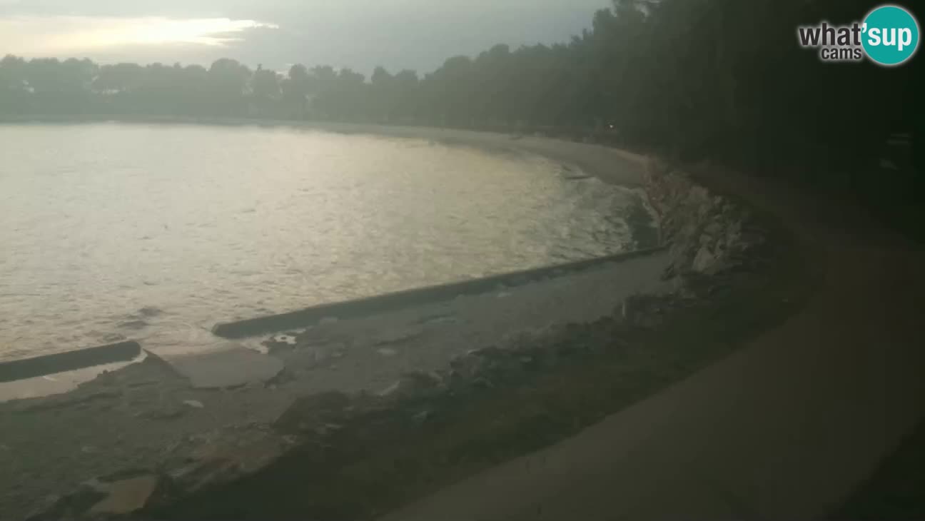 Novigrad live cam – Karpinjan beach